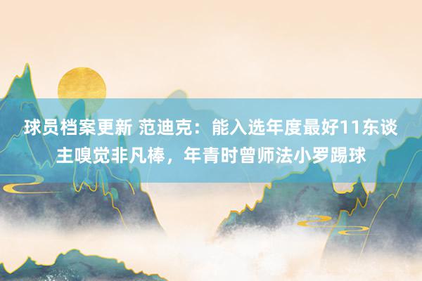 球员档案更新 范迪克：能入选年度最好11东谈主嗅觉非凡棒，年青时曾师法小罗踢球