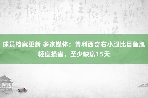 球员档案更新 多家媒体：普利西奇右小腿比目鱼肌轻度损害，至少缺席15天