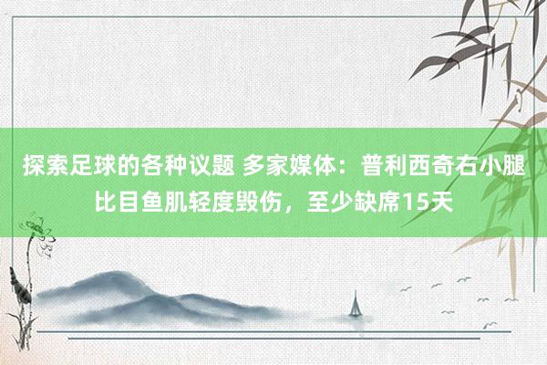 探索足球的各种议题 多家媒体：普利西奇右小腿比目鱼肌轻度毁伤，至少缺席15天