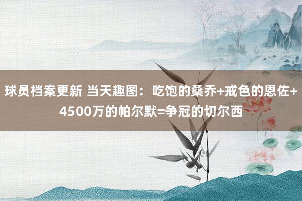 球员档案更新 当天趣图：吃饱的桑乔+戒色的恩佐+4500万的帕尔默=争冠的切尔西