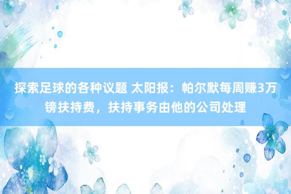 探索足球的各种议题 太阳报：帕尔默每周赚3万镑扶持费，扶持事务由他的公司处理