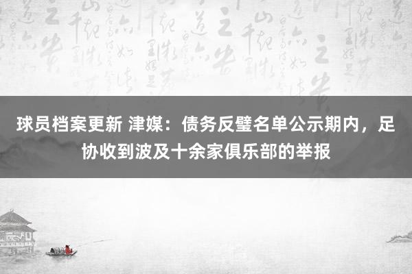 球员档案更新 津媒：债务反璧名单公示期内，足协收到波及十余家俱乐部的举报